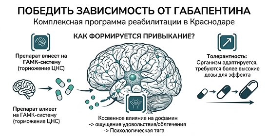 Инфографика, объясняющая механизм формирования зависимости от габапентина.